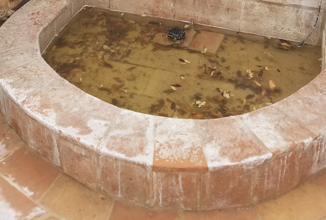 Fountain Refinishing