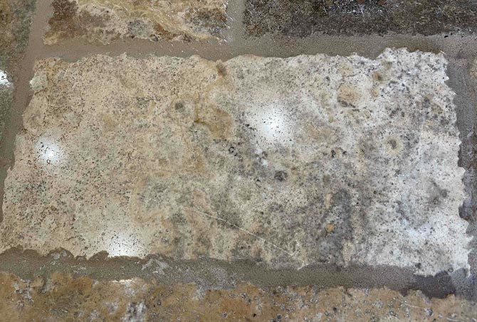 Notice the scratch on this travertine tile in this BEFORE image