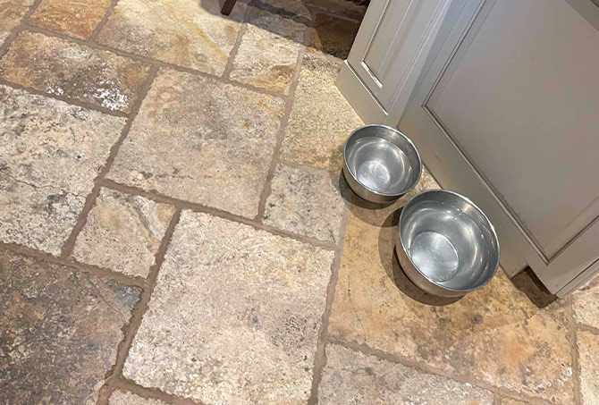 Pets can take a toll on travertine floors